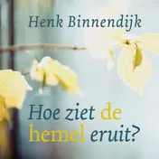 Omslag van Hoe ziet de hemel eruit?