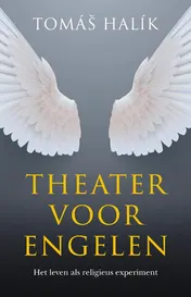 Omslag van Theater voor engelen