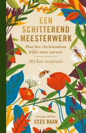Omslag van Een schitterend meesterwerk
