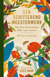 Omslag van Een schitterend meesterwerk