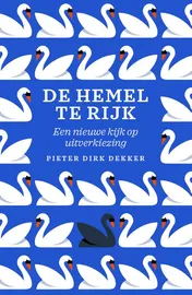Omslag van De hemel te rijk