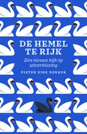 Omslag van De hemel te rijk