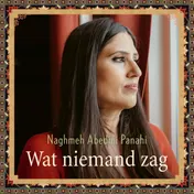 Omslag van Wat niemand zag