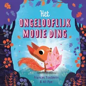 Omslag van Het ongelooflijk mooie ding