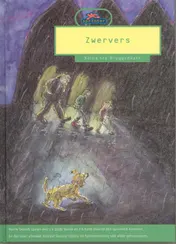 Omslag van Zwervers