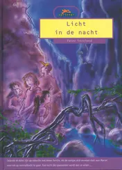 Omslag van Licht in de nacht