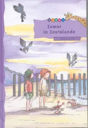 Omslag van Zomer in Zoutelande