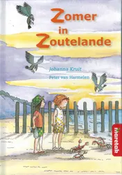 Omslag van Zomer in Zoutelande