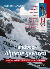 Omslag van Handboek alpiene gevaren