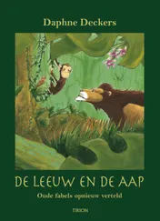 Omslag van De leeuw en de aap