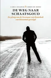 Omslag van De weg naar schaatsgoud