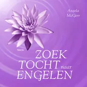 Omslag van Zoektocht naar Engelen