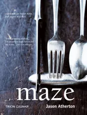 Omslag van Maze