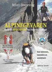 Omslag van Alpiene gevaren voor de bergsport op rugzakformaat