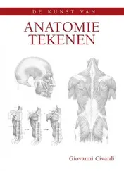 Omslag van De kunst van anatomie tekenen