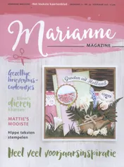 Omslag van jrg 21 nr.29 voorjaar 2016