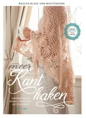 Omslag van Meer kant haken