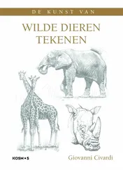 Omslag van Wilde dieren tekenen