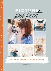 Omslag van Picture perfect