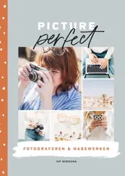 Omslag van Picture perfect