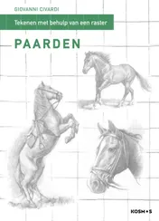 Omslag van Paarden