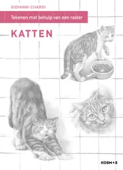 Omslag van Tekenen met behulp van een raster - Katten