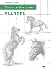 Omslag van Paarden