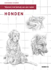 Omslag van Honden
