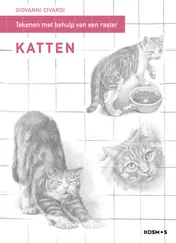 Omslag van Katten