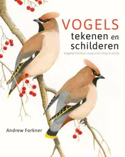 Omslag van Vogels tekenen en schilderen