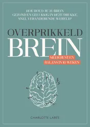 Omslag van Overprikkeld brein