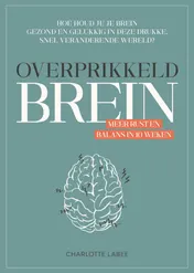 Omslag van Overprikkeld Brein