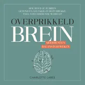 Omslag van Overprikkeld Brein