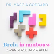Omslag van Zwangerschapszaken