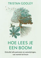 Omslag van Hoe lees je een boom