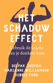 Omslag van Het schaduw effect