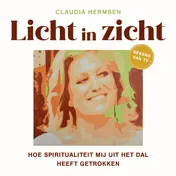 Omslag van Licht in zicht