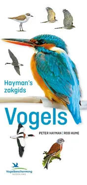 Omslag van Hayman's zakgids Vogels