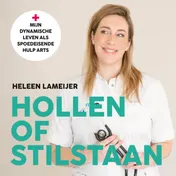 Omslag van Hollen of stilstaan