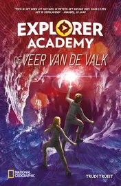 Omslag van De veer van de valk
