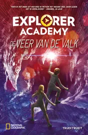 Omslag van De veer van de valk