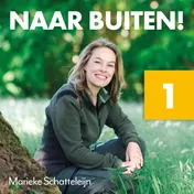 Omslag van Naar buiten! Licht in het Lauwersmeer
