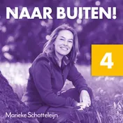 Omslag van 4