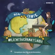 Omslag van Bizar grote oplichtingspraktijken