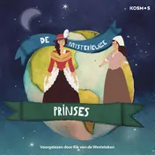 Omslag van De mysterieuze prinses