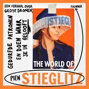Omslag van The world of Stieglitz