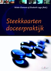 Omslag van Steekkaarten doceerpraktijk