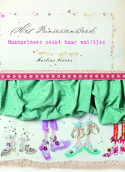 Omslag van Maanprinses zoekt haar muiltjes
