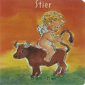 Omslag van Stier