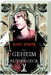 Omslag van Het geheim van Ruysbroeck